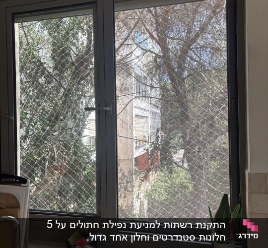חלון עם רשת למניעת כניסת יונים